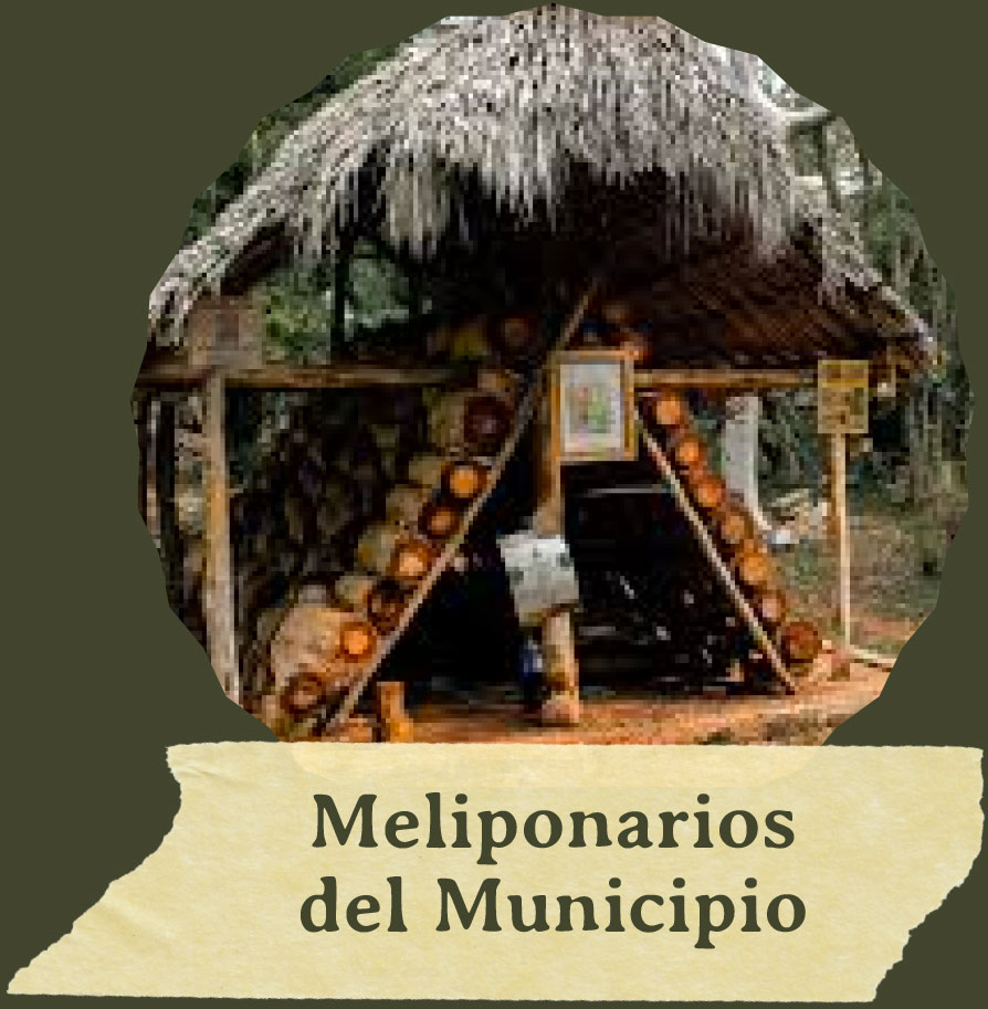 melinoponarios